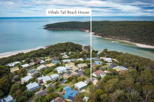 Pambula Beach House | Discover Whale Tail Beach House: Pet & Child Friendly Retreat
