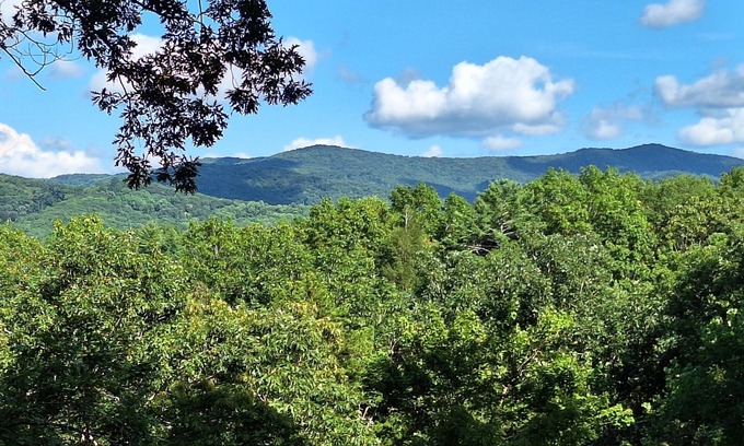 Blue Ridge Cabin | Breathtaking Views & Hot Tub Bliss – Guest Rated 9.8/10