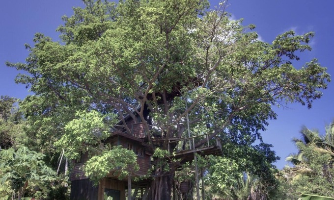 Isla de Utila House | Experience Dreamy Treehouse Retreat in Utila with Ocean Views