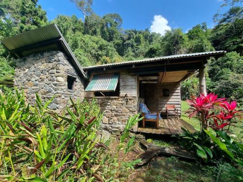 Cape Tribulation House | Where The Forest Meets The Sea