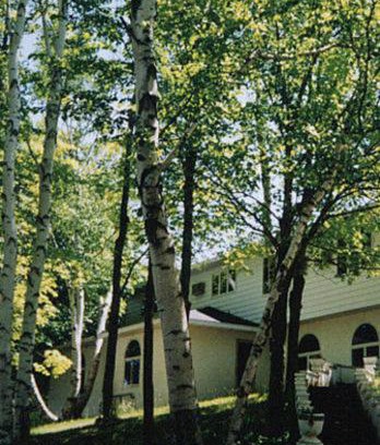 Sturgeon Bay Hotel | Discover White Birch Inn: Pet-Friendly and Family Welcoming