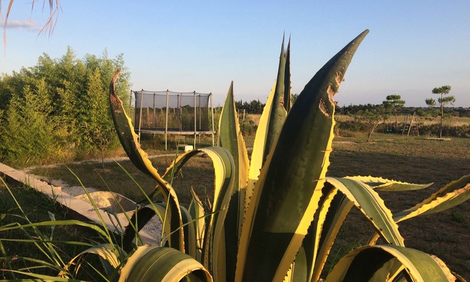 Villeneuve-les-Maguelone Villa | Beautiful Architect's Villa by the Mediterranean Sea