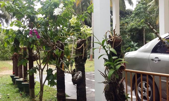 Narangodapaluwa House | Cozy White House: Family-Friendly with Breakfast & Kitchen