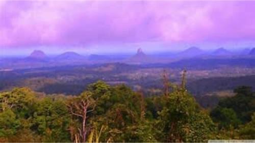Maleny House | Exceptional White Jacaranda Tiny House - Top Guest Rated 9.6