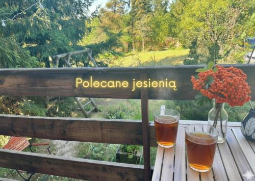 Podjazy House | Pet-Friendly Retreat: Enjoy Lake Getaways at Widny Jaś