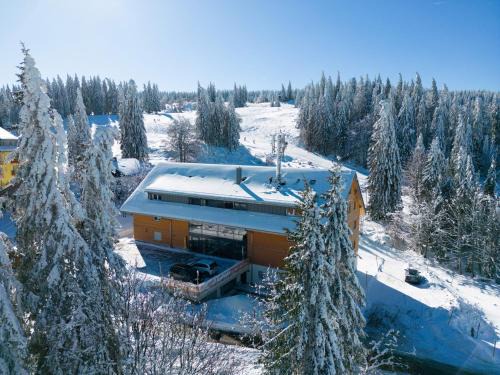 Feldberg Apartment | Family-Friendly Wiesenquell Apartment Feldberg - 9.4/10 Rating