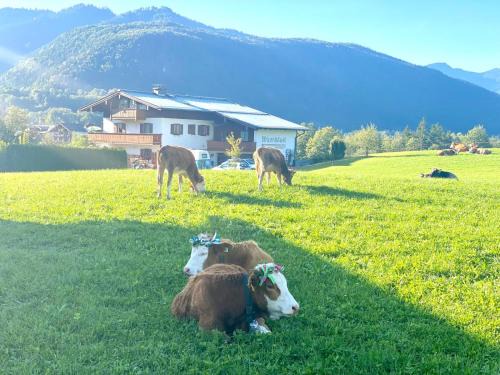 Schoenau am Koenigssee Apartment | Wiesnhäusl