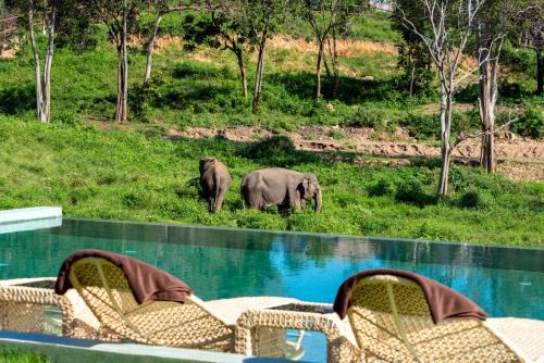 Bophut Hotel | Exquisite Wild Cottages Elephant Sanctuary Resort Experience