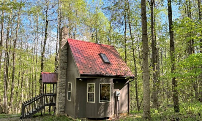 Meadows Of Dan Cabin | Cozy Wildcat Forest Cabin Near Buffalo Mountain Getaway