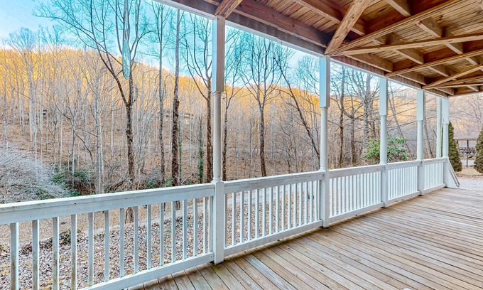 Sylva Apartment | Dog-Friendly Wilderness Studio with Kitchenette & Spa Amenities
