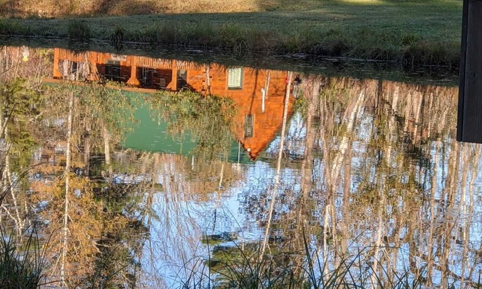 Iola Cabin | Nature Retreat: Wildlife Cabin with Ponds & Apple Orchard