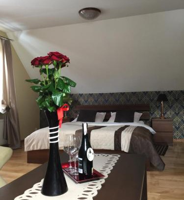 Wisla Bed & Breakfast | Guest Rated 10/10 Willa Pod Starą Skocznią: Pet Friendly Stay