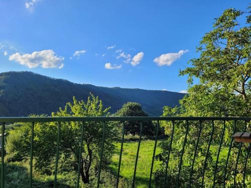 Dhron House | Top-Rated Family-Friendly Escape at Willi's Moselschlösschen