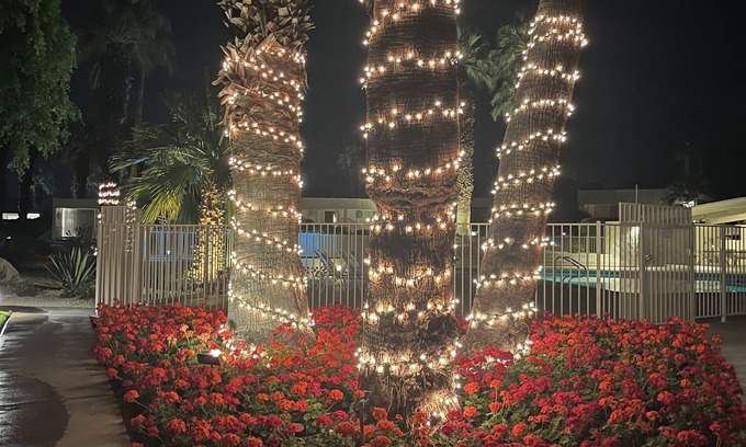 Palm Desert Condo | Experience William Krisel's MCM Masterpiece - Pet Friendly Stay