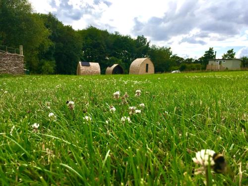 Carlton-in-Cleveland Other | Guest Rated 10/10: Willow Pod with Breakfast & Pet Friendly