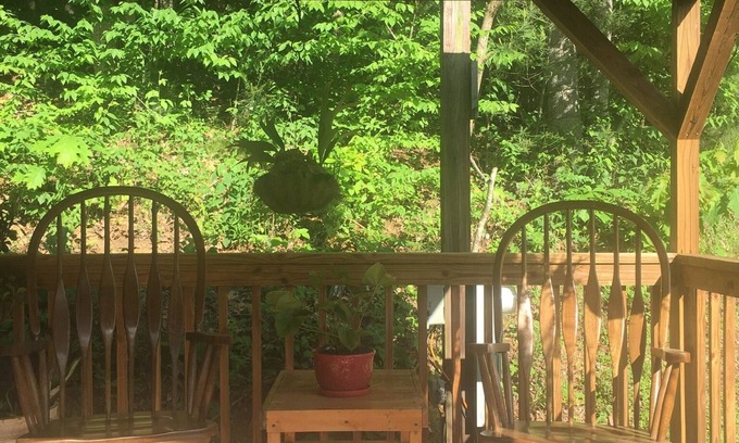 Asheville Cabin | Relax at Willow Pond: Family-Friendly Cabin with Spa