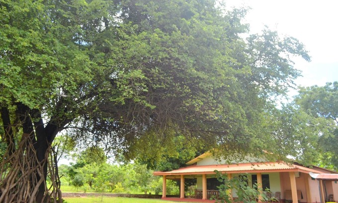Pahala Maragahawewa Hotel | Discover Wilpattu Dilsara Holiday Resort with Family-Friendly Amenities