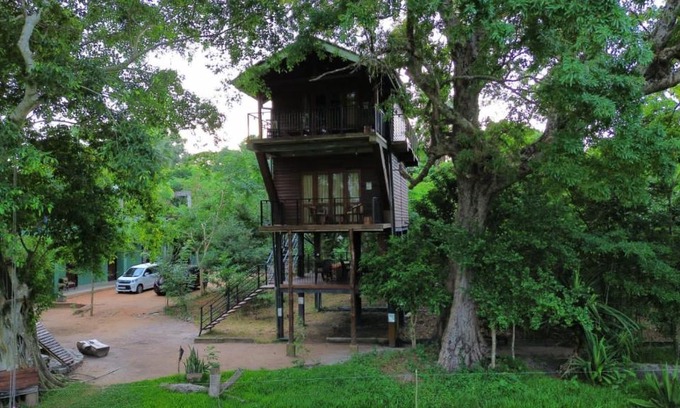 Nochchiyagama Bed & Breakfast | Discover Wilpattu Tree House: Family-Friendly Retreat