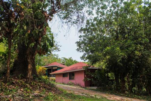 Palenque Cabin | Oceanfront Winíka Alterra: Family-Friendly with Pool & Views