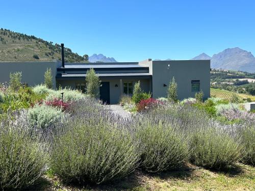 Stellenbosch House | Experience Windon Vineyard Farmhouse: 4-Star Family Retreat