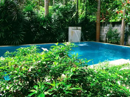 Katana Hotel | Windy's Leisure Villa