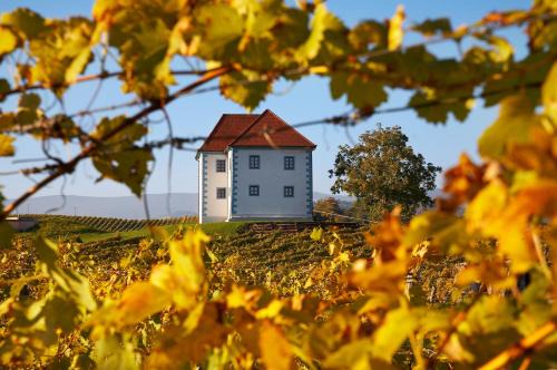 Slovenske Konjice Apartment | Exquisite Wine Grower's Mansion Zlati Gric with Ocean Views