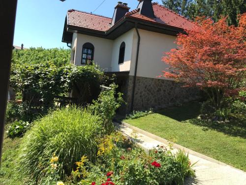 Videm House | Guest Rated 10/10: Wine, Nature & Family-Friendly Stays