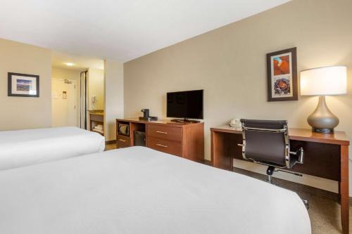 Los Alamos Hotel | Pet-Friendly Comfort Inn & Suites: Ideal for Families