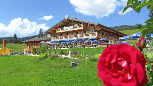 Reit im Winkl Hotel | Exceptional Winklmoos Sonnenalm: Pet Friendly & Hot Tub