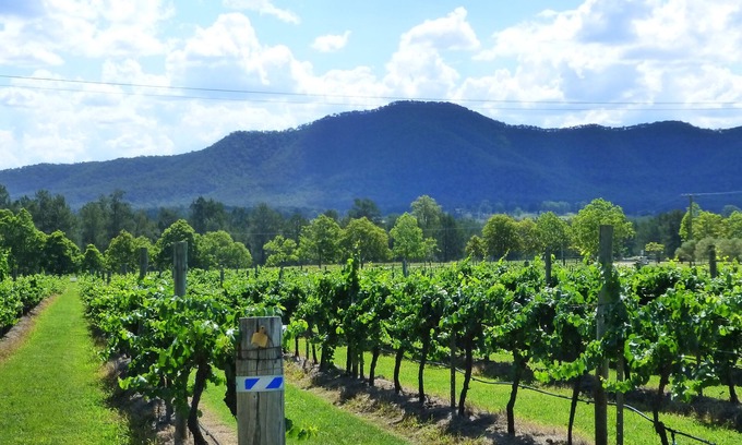 Broke House | Winmark Wines Residence: Ocean View & Pet-Friendly Stay