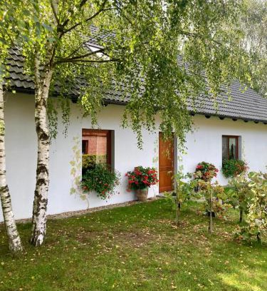 gmina Krosnice House | Pet-Friendly Escape at Winnica De Sas with Pool & Kitchen