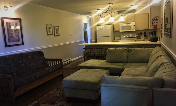 Ghent Apartment | Exceptional Winterplace Condo D306 with Kitchen & Breakfast