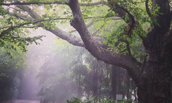 Winterton Cabin | Charming Winterton Country Lodge with Oceanfront Pool Access