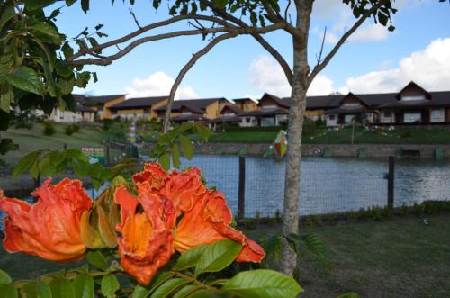 Novo Gravata Apartment | Cozy Winterville Flat in Gravatá with Pool & Family Fun