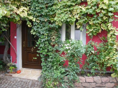 Neustadt-Geinsheim Apartment | Discover Winzeranwesen: Family-Friendly Vineyard Retreat