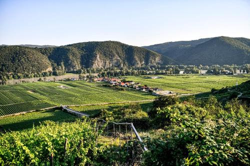 Oberloiben Apartment | Family-Friendly Retreat at Winzerhof Mörtinger
