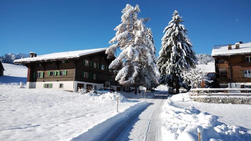 Zweisimmen Nr Gstaad Apartment | Guest Rated 10/10: Wispile Holiday Apartment with Kitchen