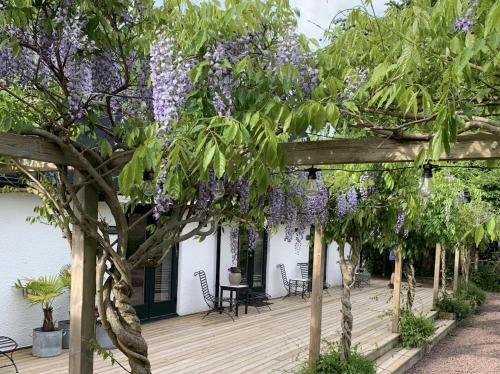 Simrishamn Hotel | Experience Wisteria Österlen: Pet Friendly & Highly Rated Stay