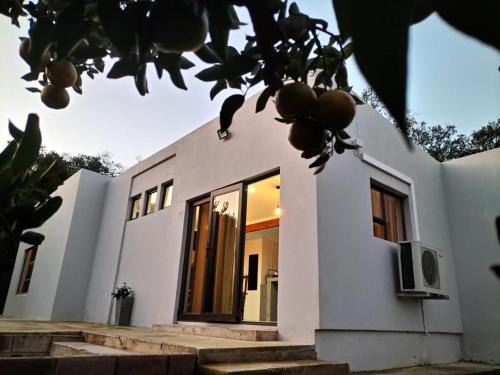 Patensie Apartment | Cozy Witrivier Farmstay: Family-Friendly Self-Catering Retreat