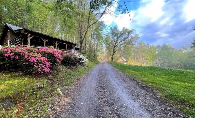 Sylva Cabin | Ideal Family Basecamp: WNC Cabin with Kitchen & High Rating