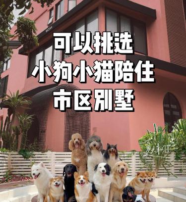 Nanshan House | Woah Puppy Home Guesthouse Woah小狗之家民宿