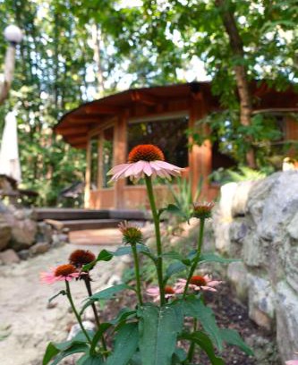 Groesbeek Cabin | Inviting Panorama Hut with Hot Tub & Guest Rated 9.1/10