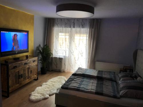 Steyrdorf Apartment | Cozy Apartment in Steyr's Historic Old Town - Child Friendly