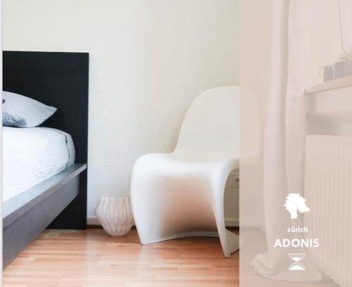 Alt-Wiedikon Apartment | Family-Friendly Stay at Wohnen in Wiedikon Adonis