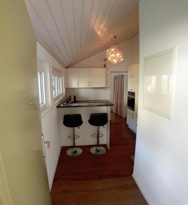 Suhr Apartment | Casa Fortuna: Oceanfront Retreat with Spa & Pet-Friendly Options