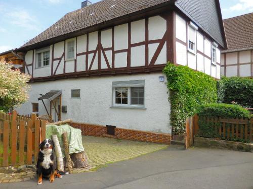 Leuderode Apartment | Cozy Apartment in Hesse with Terrace and Pet-Friendly Garden