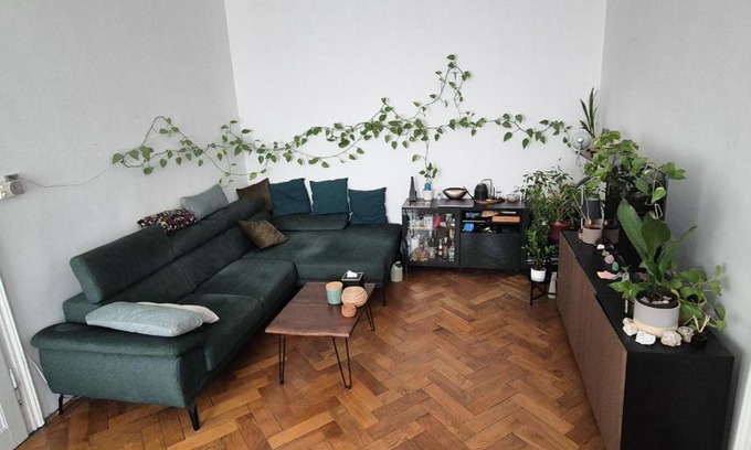 Roßau Apartment | Wohnung mit Wiener Flair