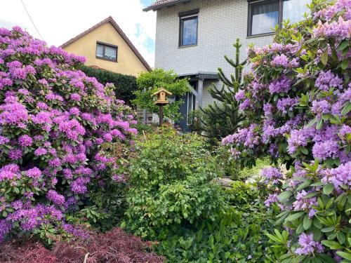 Emsetal Apartment | Kid-Friendly Apartment in Waltershausen - Rated 9.4/10