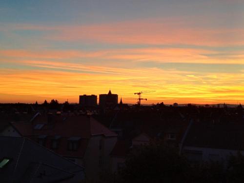 Waldstadt Feldlage Apartment | Welcoming Wohnung Waldstadt-Zentrum: Pet and Child Friendly