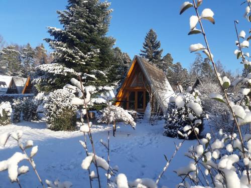 Schellbronn House | Family-Friendly Stay at Wolfseeweg 11 - Rated 9.1/10!
